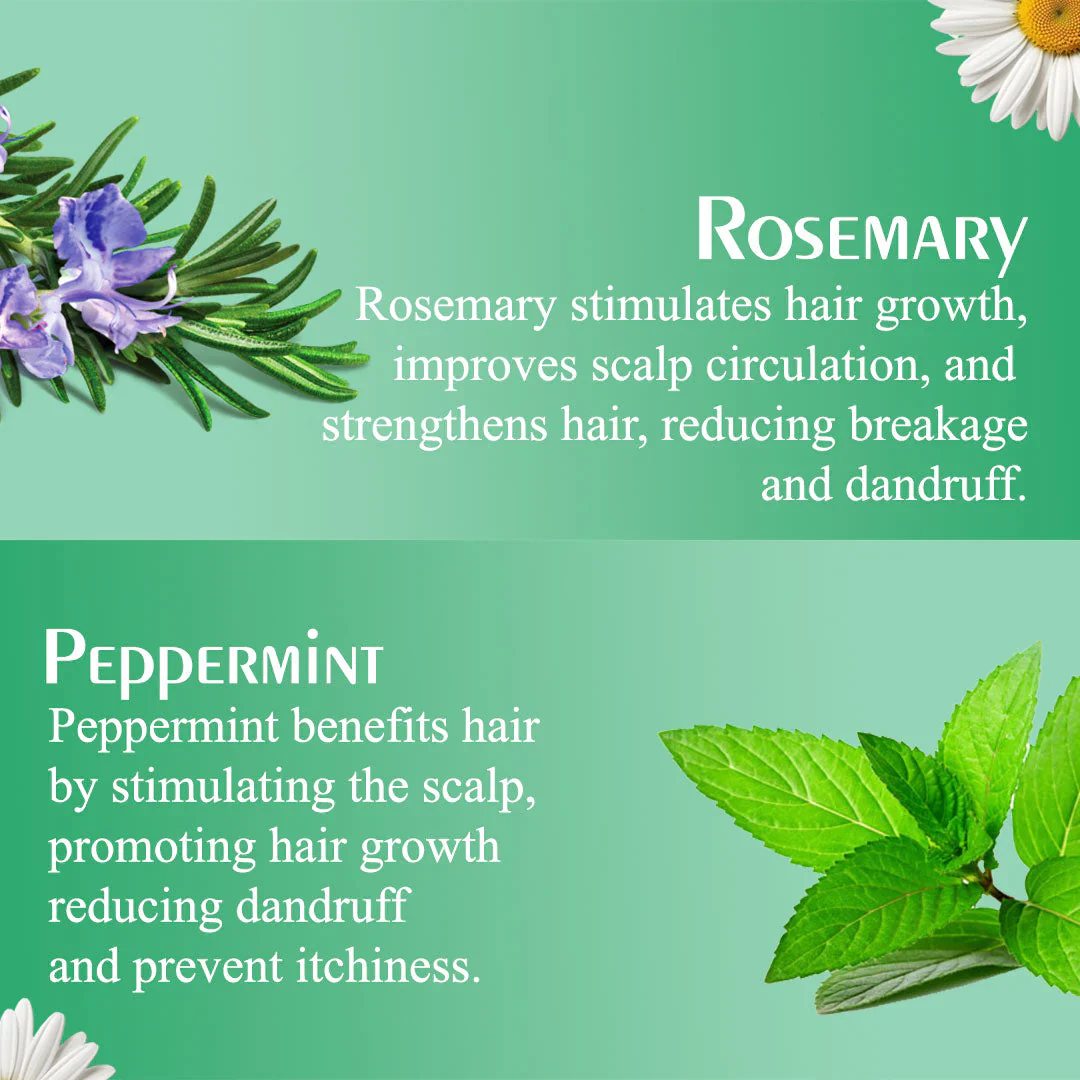 Olive Moisture Rosemary & Mint Nourishing Shampoo Deep Cleansing 473ml - Image 7