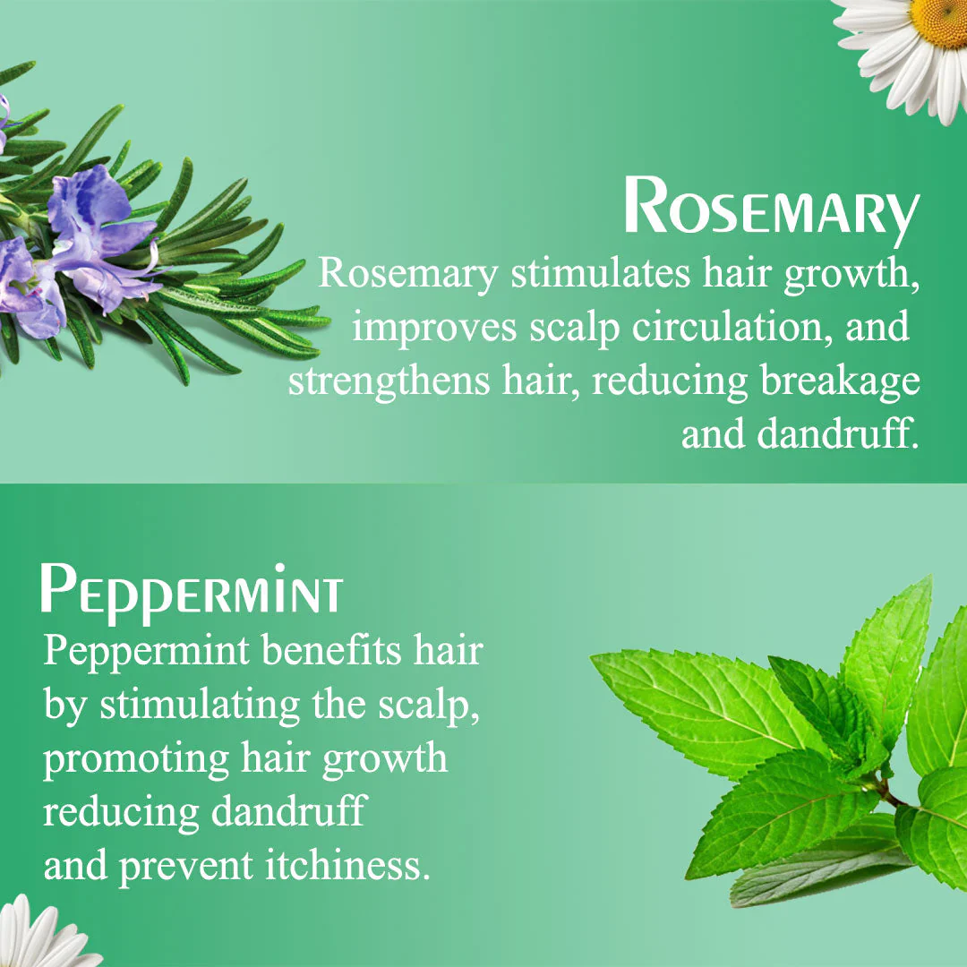 Olive Moisture Rosemary & Mint Nourishing Hair Mask 454ml - Image 7